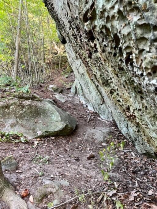 Hocking Hills Cabin-Private Hot Tub, Hiking, Caves Vila Rockbridge Exterior foto