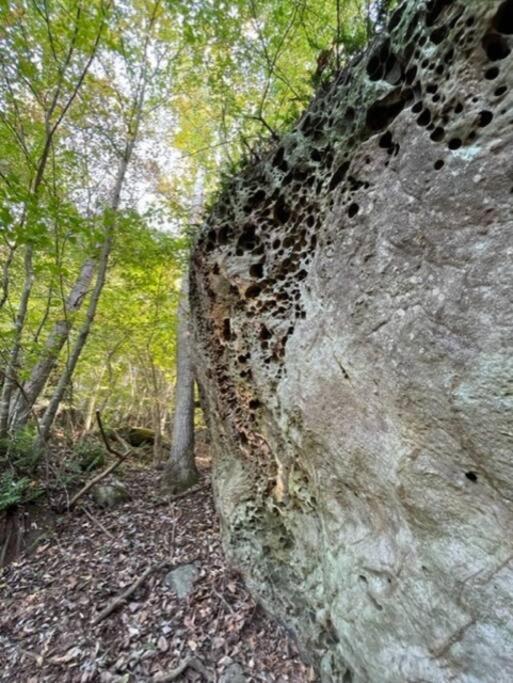 Hocking Hills Cabin-Private Hot Tub, Hiking, Caves Vila Rockbridge Exterior foto