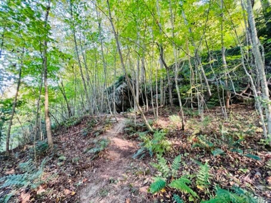 Hocking Hills Cabin-Private Hot Tub, Hiking, Caves Vila Rockbridge Exterior foto